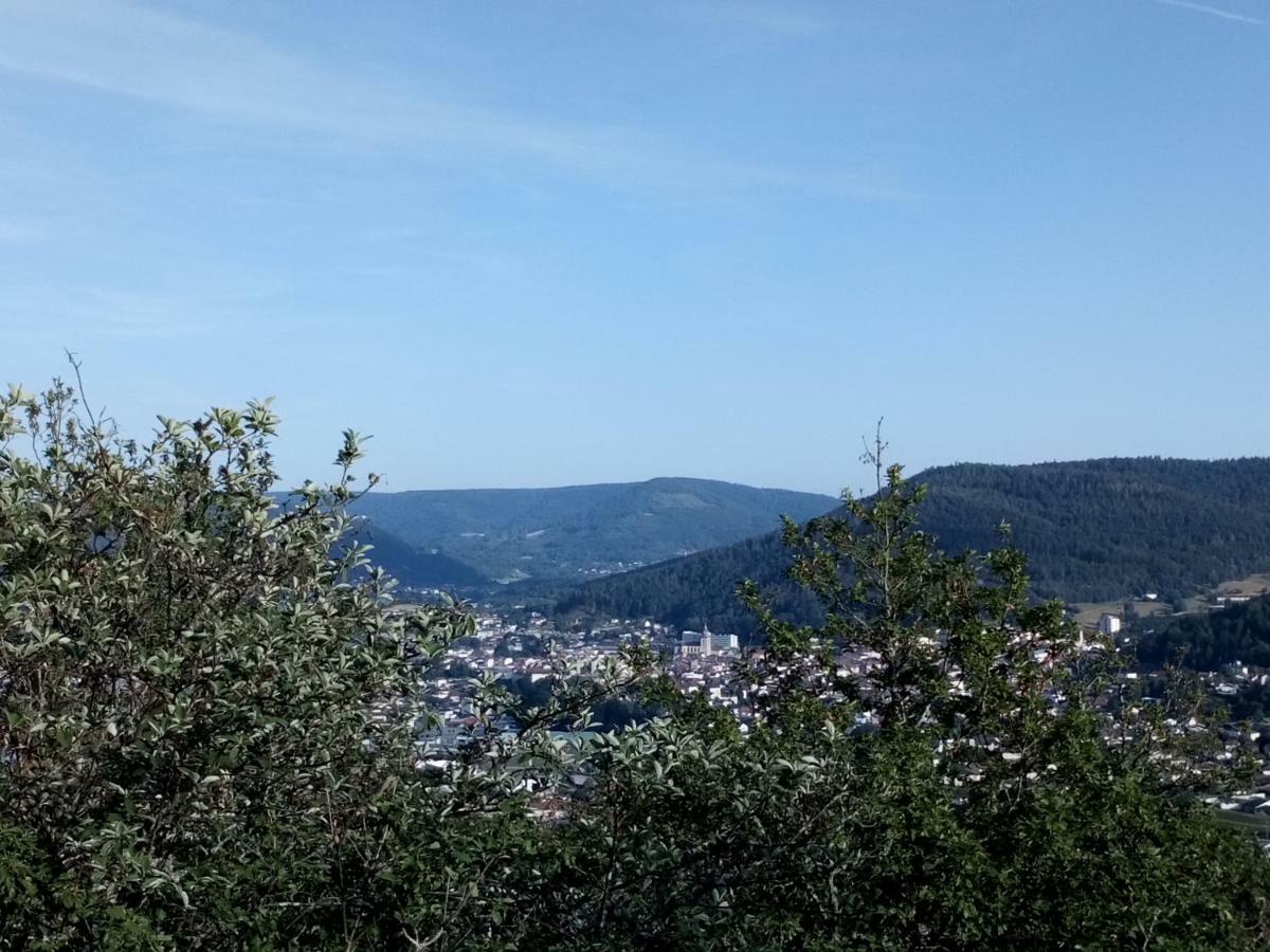 Raon-aux-Bois Gite Des Hortensias מראה חיצוני תמונה